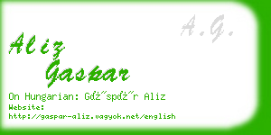 aliz gaspar business card